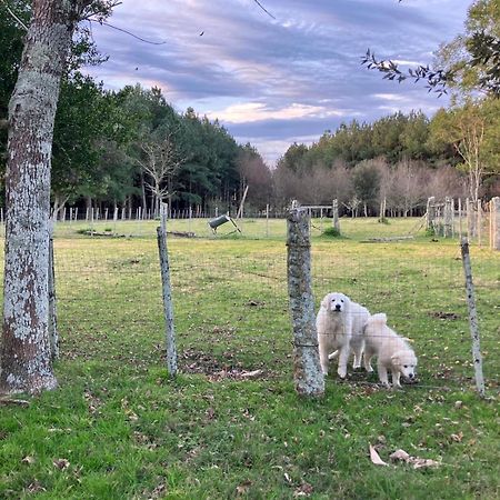 Pinos De La Quebrada Villa Quebrada de los Cuervos Buitenkant foto