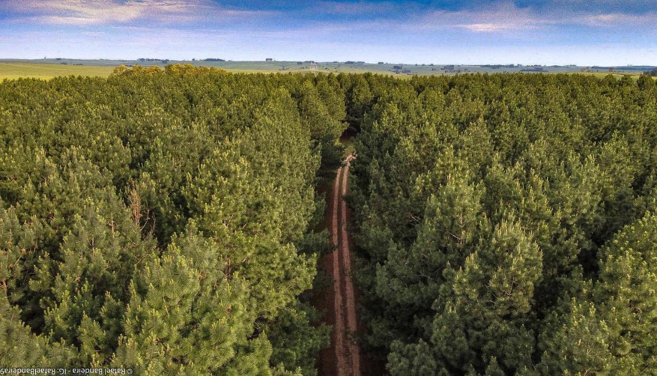 Pinos De La Quebrada Villa Quebrada de los Cuervos Buitenkant foto