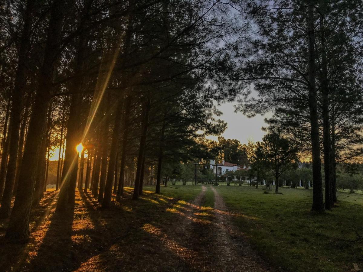 Pinos De La Quebrada Villa Quebrada de los Cuervos Buitenkant foto