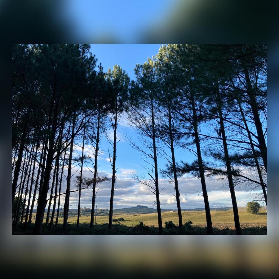 Pinos De La Quebrada Villa Quebrada de los Cuervos Buitenkant foto