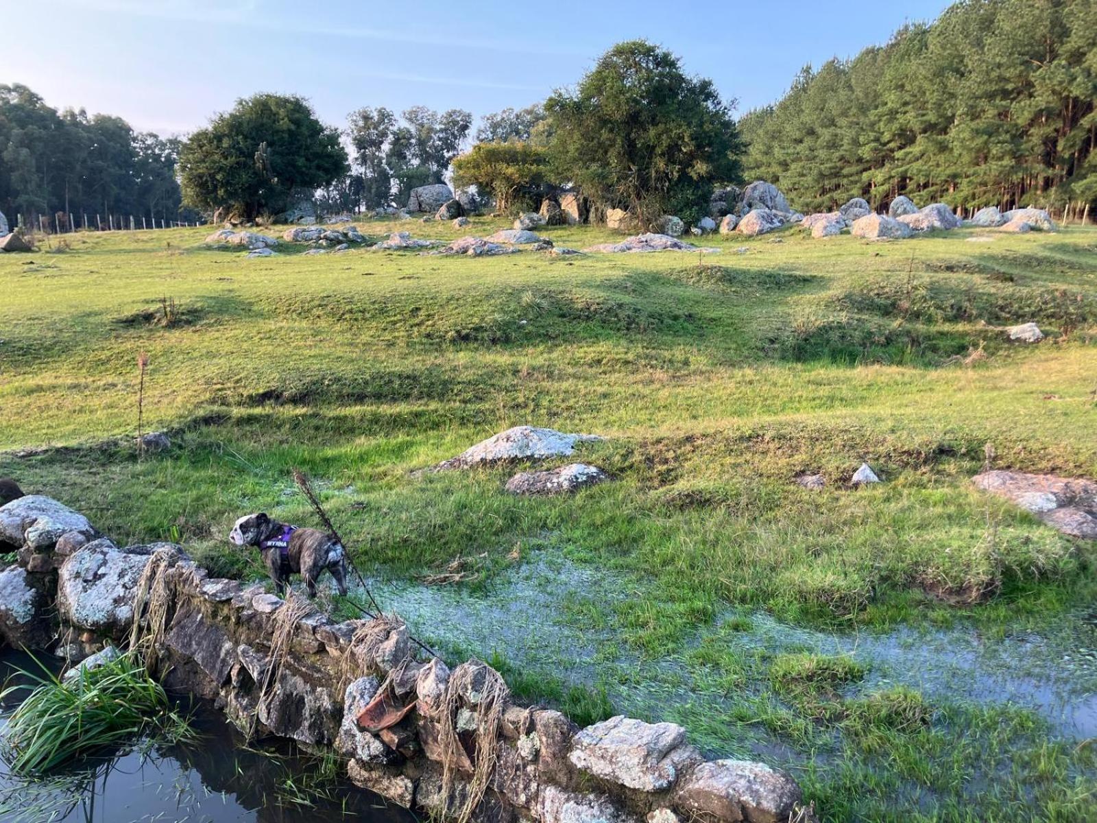 Pinos De La Quebrada Villa Quebrada de los Cuervos Buitenkant foto