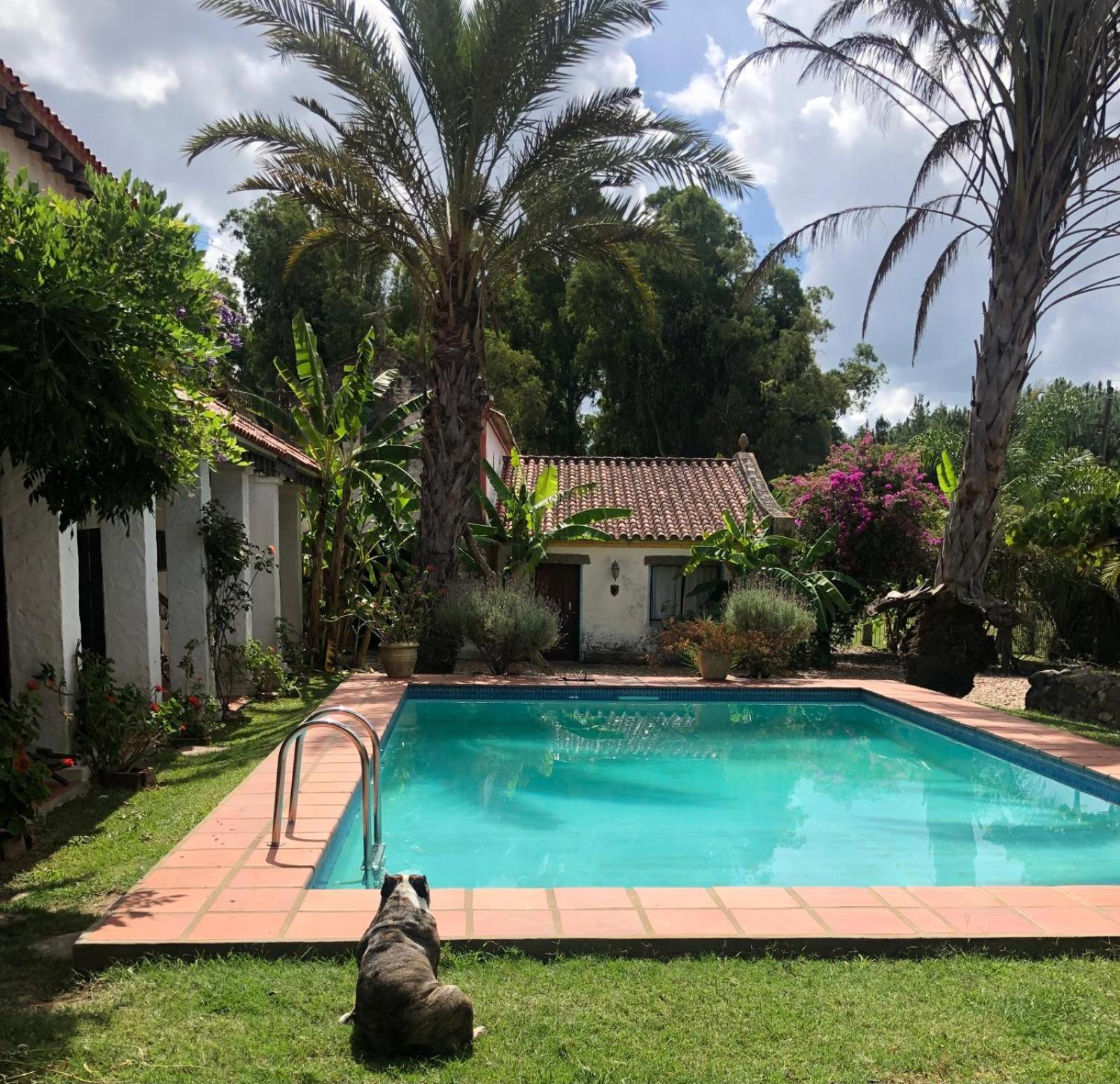 Pinos De La Quebrada Villa Quebrada de los Cuervos Buitenkant foto