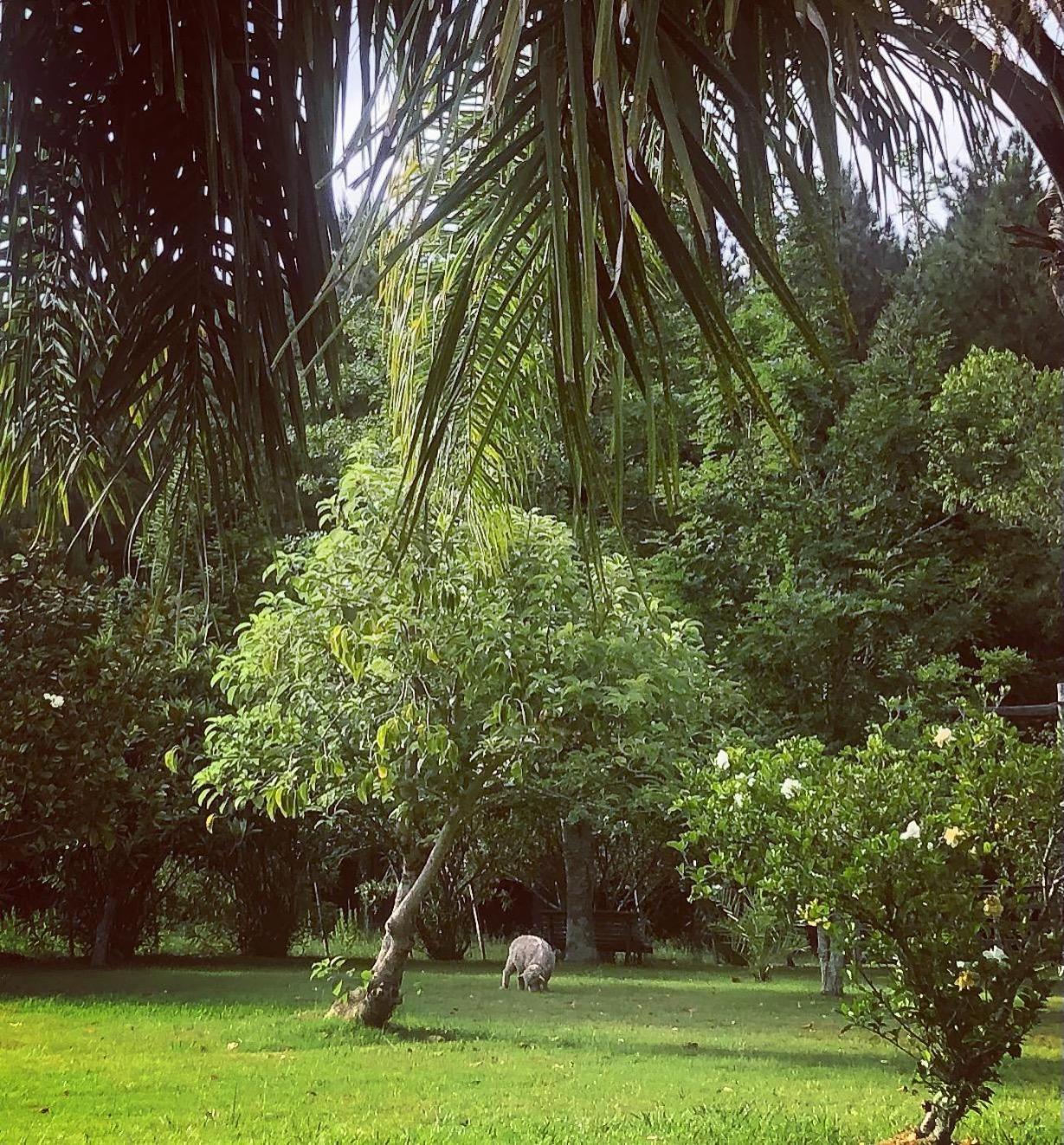 Pinos De La Quebrada Villa Quebrada de los Cuervos Buitenkant foto