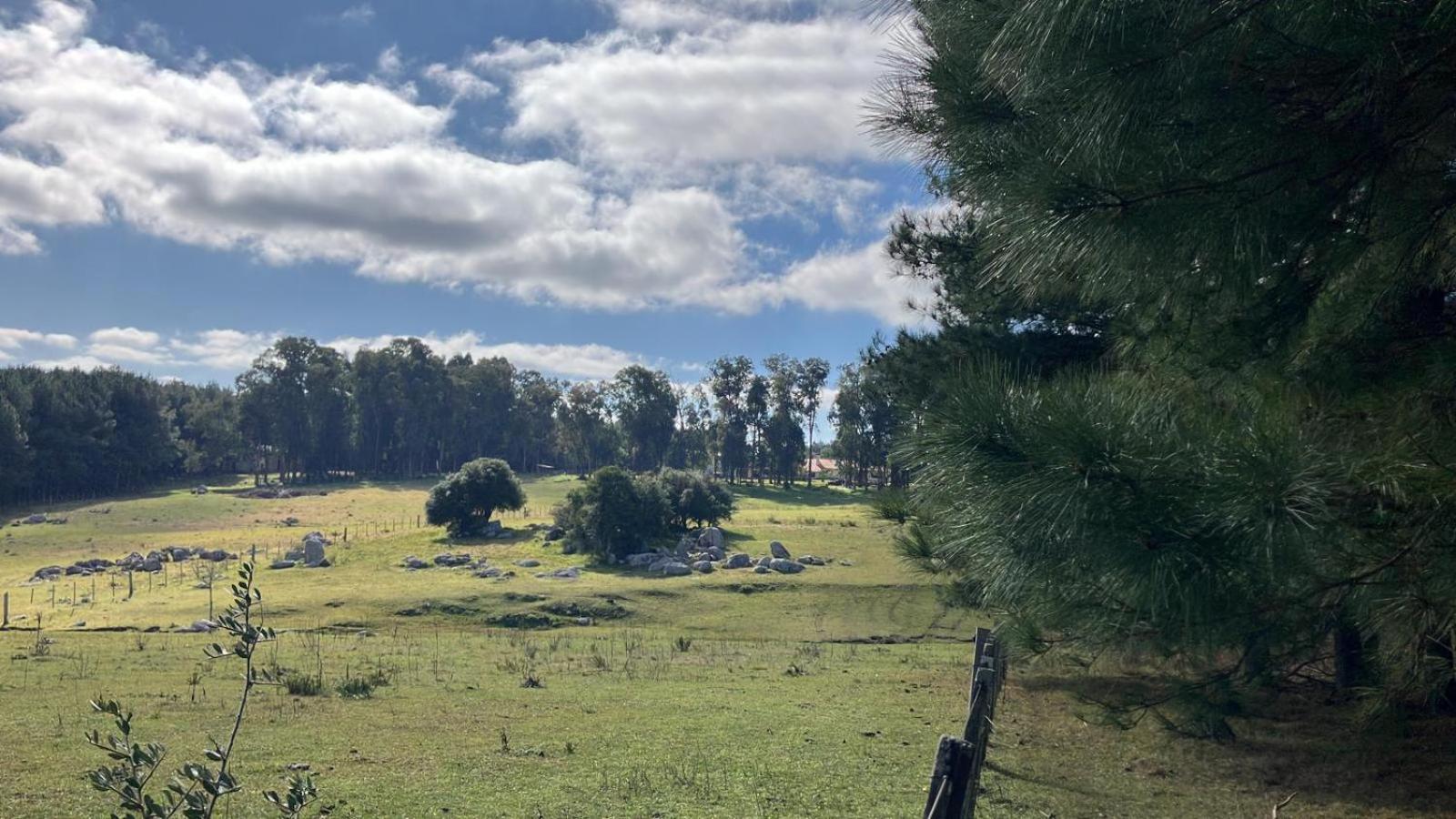 Pinos De La Quebrada Villa Quebrada de los Cuervos Buitenkant foto