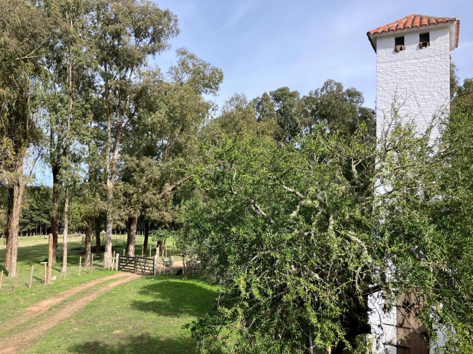 Pinos De La Quebrada Villa Quebrada de los Cuervos Buitenkant foto