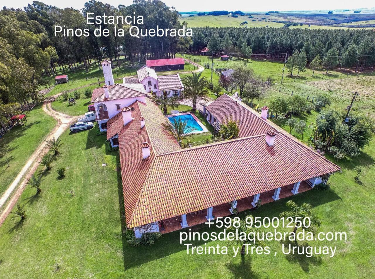 Pinos De La Quebrada Villa Quebrada de los Cuervos Buitenkant foto